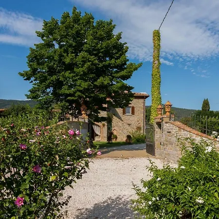 Fattoria Del Nonno Berto Lantgård Cortona
