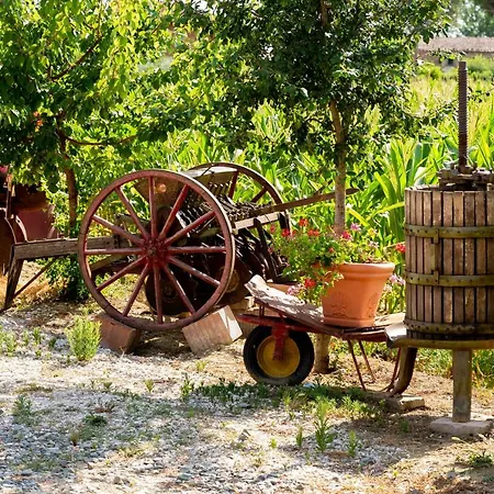 Fattoria Del Nonno Berto Lantgård